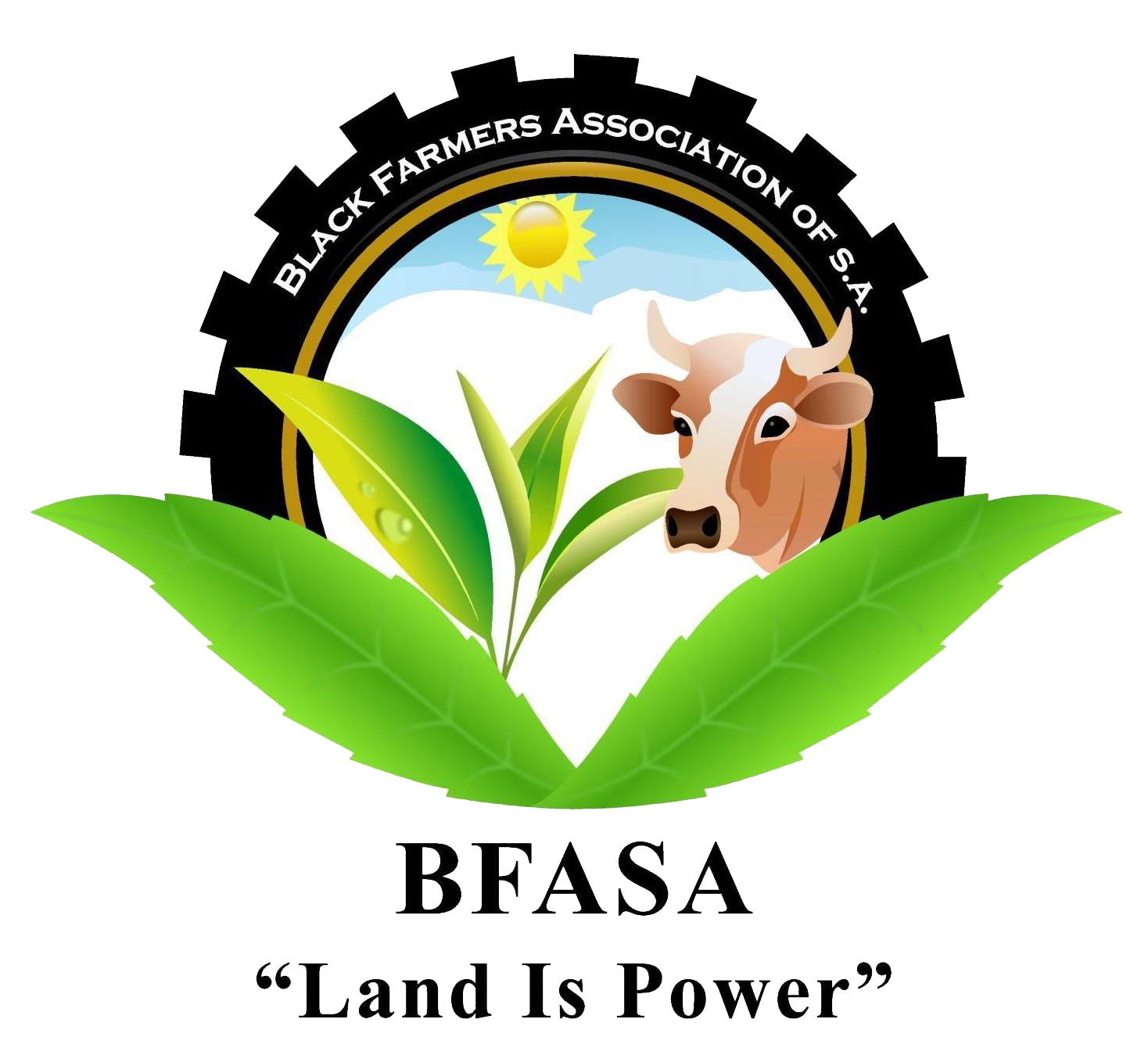 BFASA Logo